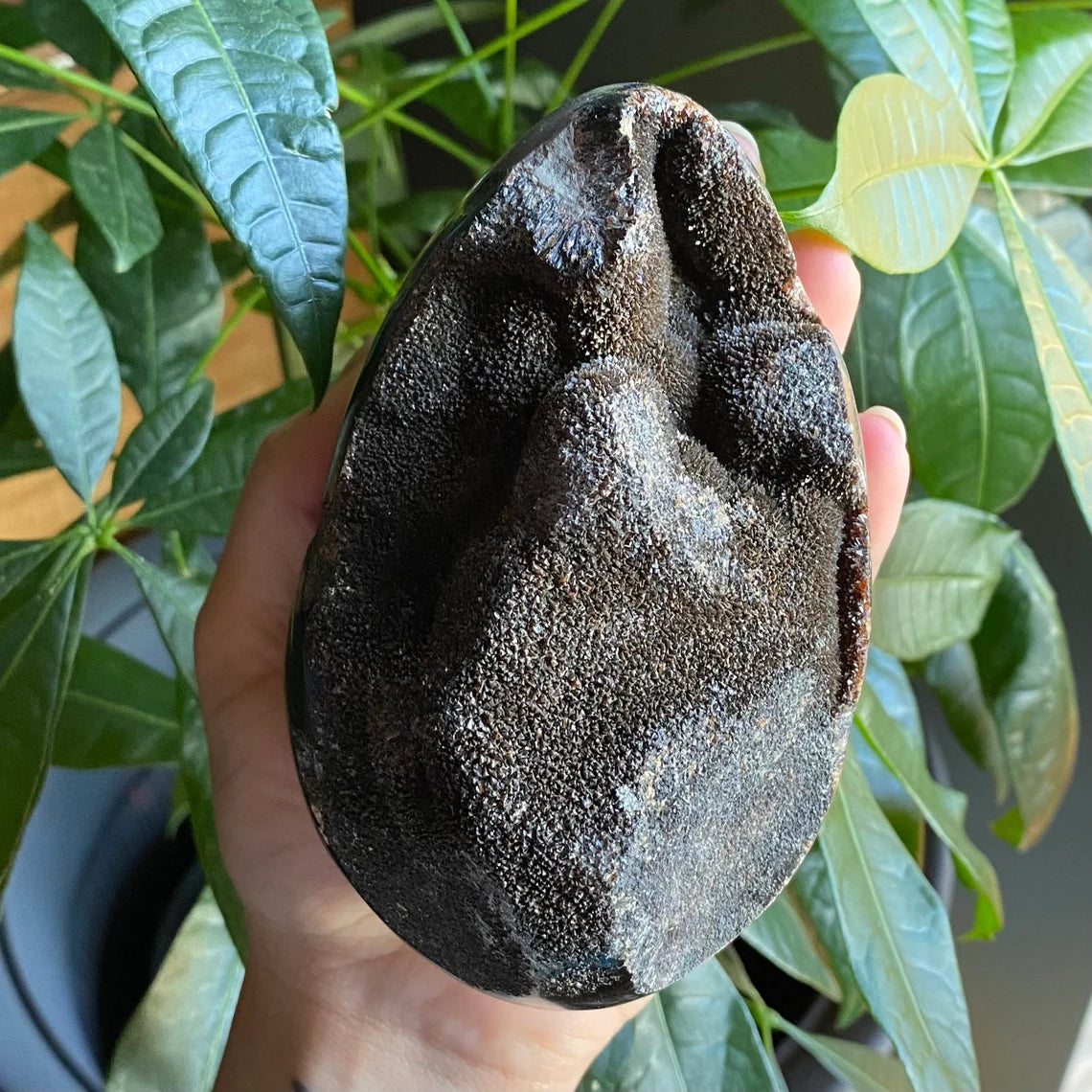 Septarian Geode Egg w/ Druzy | 1 lb 13.9 oz | 4.7" | Dragon Stone | Septarian Dragon Egg | Crystal Geode