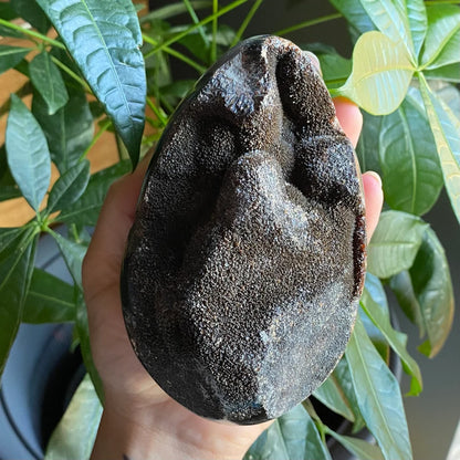 Septarian Geode Egg w/ Druzy | 1 lb 13.9 oz | 4.7" | Dragon Stone | Septarian Dragon Egg | Crystal Geode