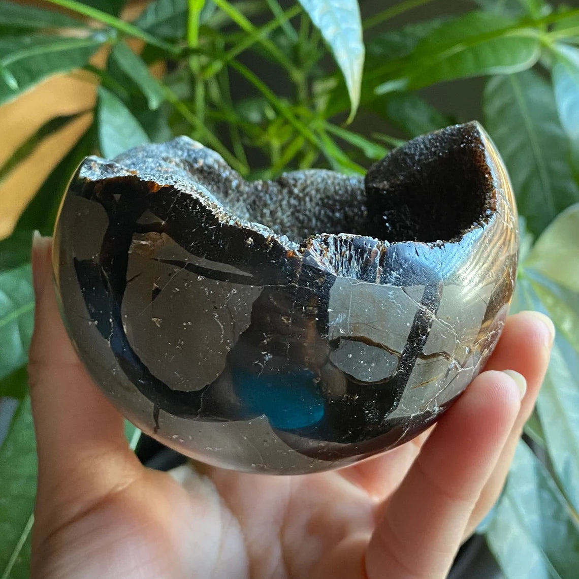 Septarian Geode Egg w/ Druzy | 1 lb 8.6 oz | 3.6" | Dragon Stone | Septarian Dragon Egg | Crystal Geode