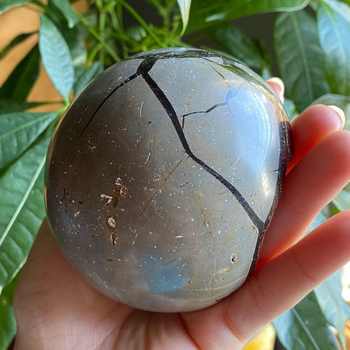 Septarian Geode Egg w/ Druzy | 1 lb 8.6 oz | 3.6" | Dragon Stone | Septarian Dragon Egg | Crystal Geode