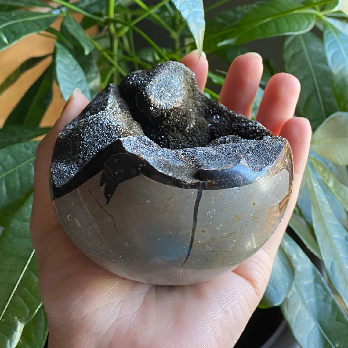 Septarian Geode Egg w/ Druzy | 1 lb 8.6 oz | 3.6" | Dragon Stone | Septarian Dragon Egg | Crystal Geode