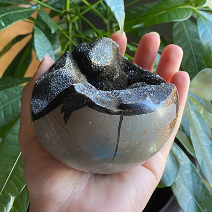 Septarian Geode Egg w/ Druzy | 1 lb 8.6 oz | 3.6" | Dragon Stone | Septarian Dragon Egg | Crystal Geode