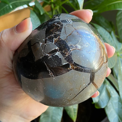 Septarian Geode Egg w/ Druzy | 1 lb 8.6 oz | 3.6" | Dragon Stone | Septarian Dragon Egg | Crystal Geode
