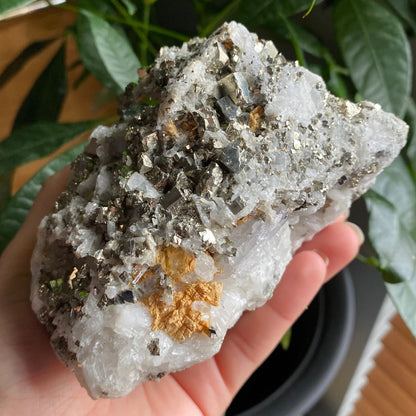 Pyrite on Quartz Matrix Specimen | 2 lb 5.2 oz | 5" | Pyrite | Mineral Specimen | Fools Gold | Attract Abundance | Pyrite Specimen