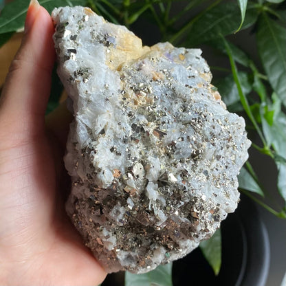 Pyrite on Quartz Matrix Specimen | 2 lb 5.2 oz | 5" | Pyrite | Mineral Specimen | Fools Gold | Attract Abundance | Pyrite Specimen