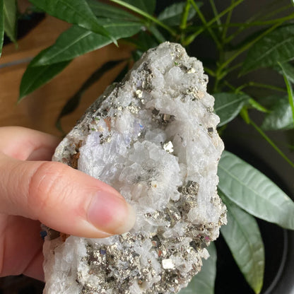Pyrite on Quartz Matrix Specimen | 2 lb 5.2 oz | 5" | Pyrite | Mineral Specimen | Fools Gold | Attract Abundance | Pyrite Specimen