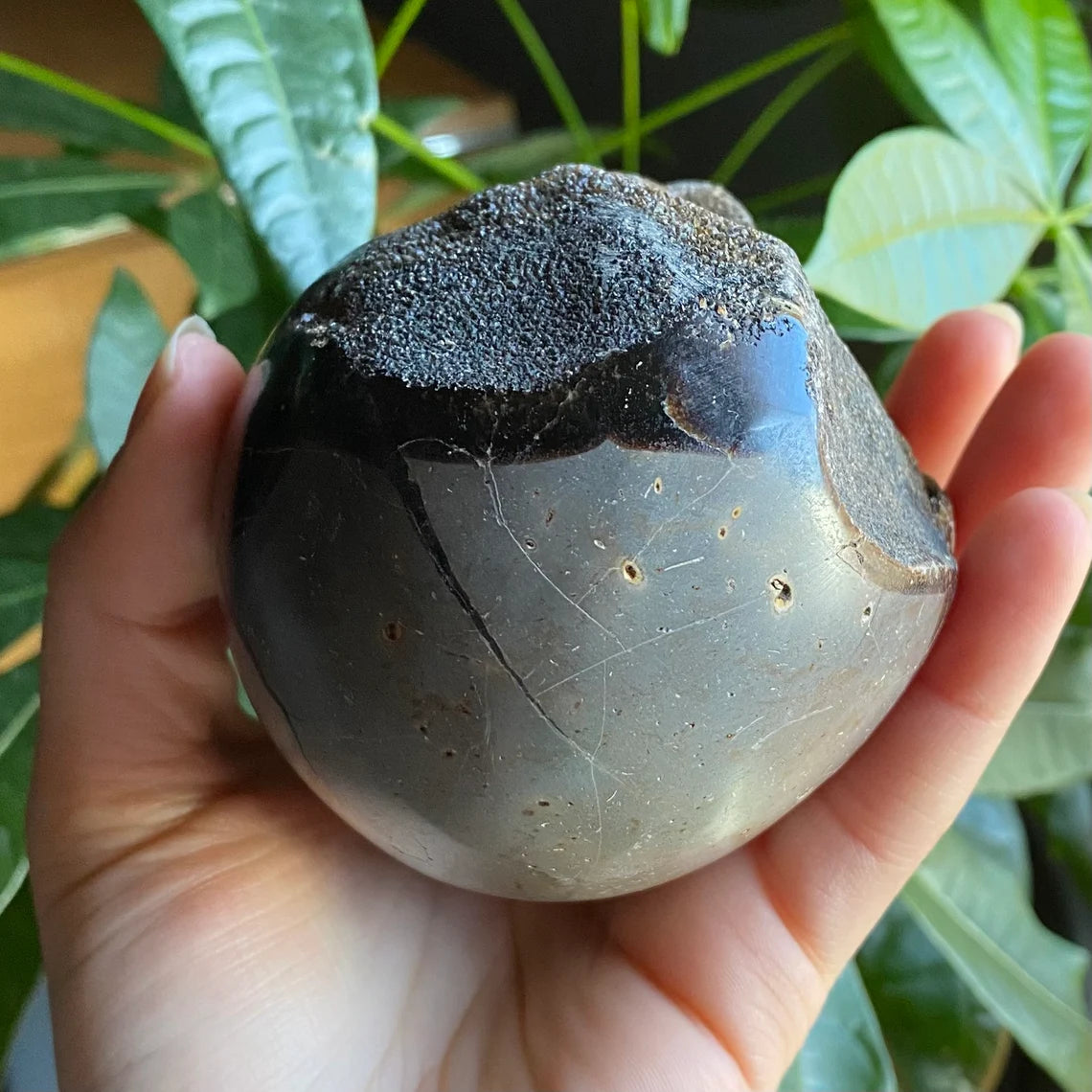 Septarian Geode Egg w/ Druzy | 1 lb 13.9 oz | 4.7" | Dragon Stone | Septarian Dragon Egg | Crystal Geode