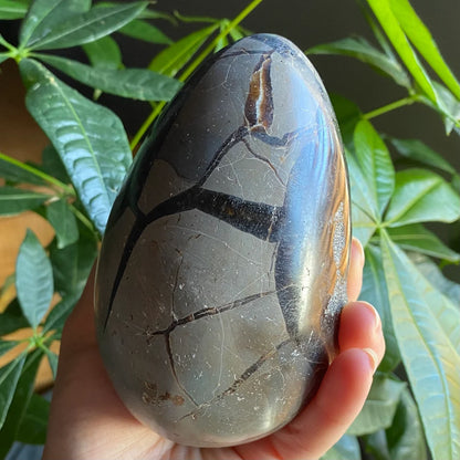 Septarian Geode Egg w/ Druzy | 1 lb 13.9 oz | 4.7" | Dragon Stone | Septarian Dragon Egg | Crystal Geode