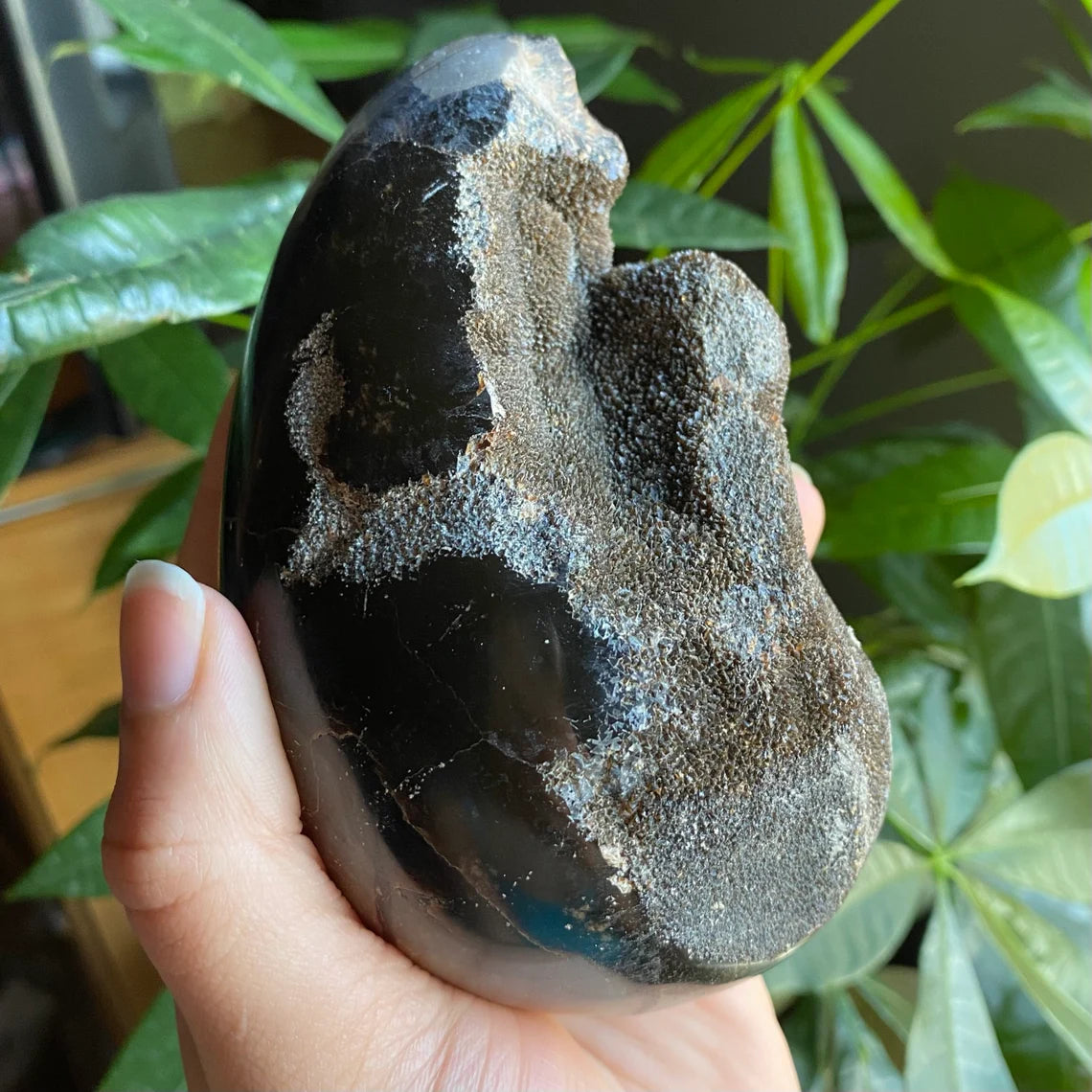 Septarian Geode Egg w/ Druzy | 1 lb 13.9 oz | 4.7" | Dragon Stone | Septarian Dragon Egg | Crystal Geode