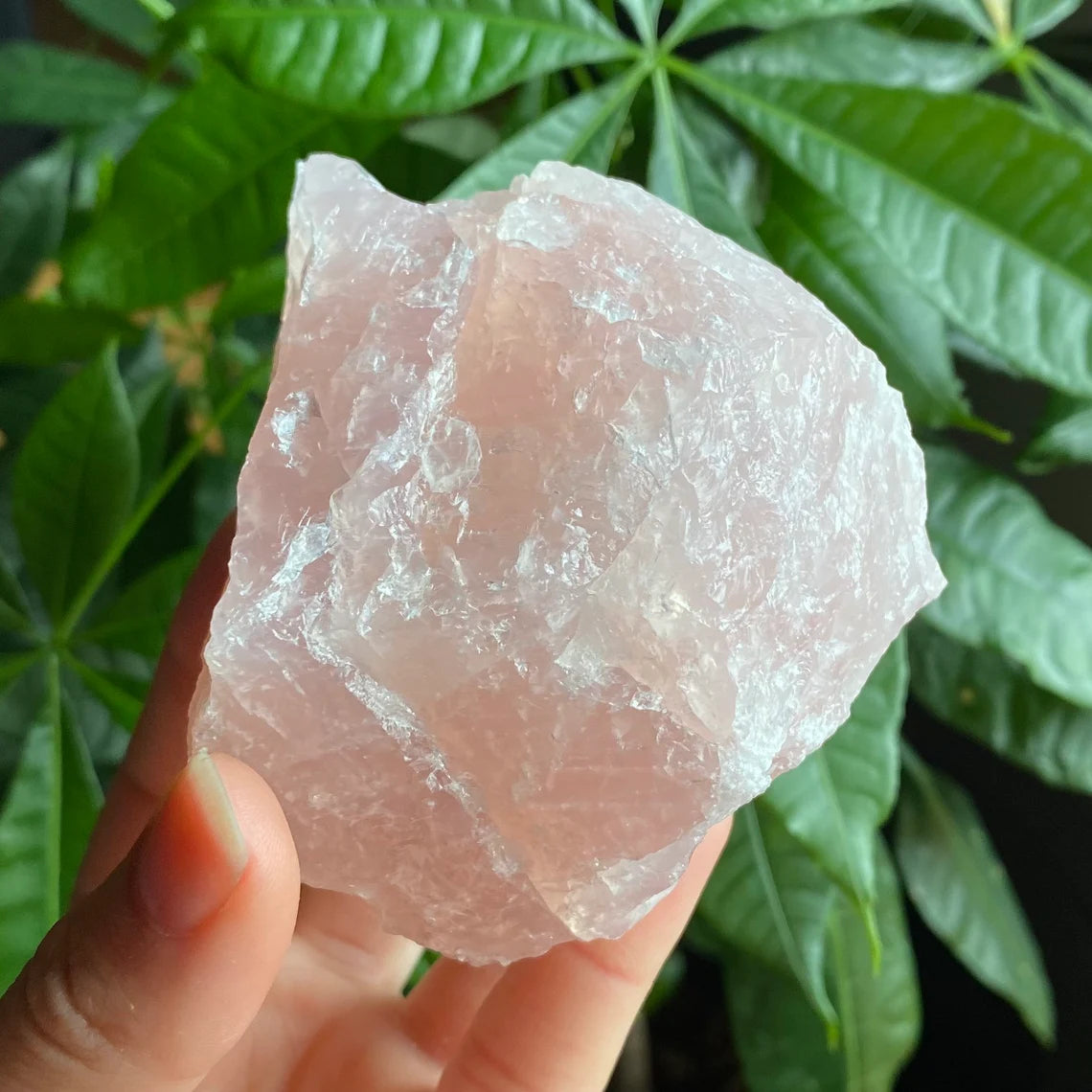 Rough Rose Quartz | 15 oz | 3.5”  | Rough Stone | Palm Size Stone | R5