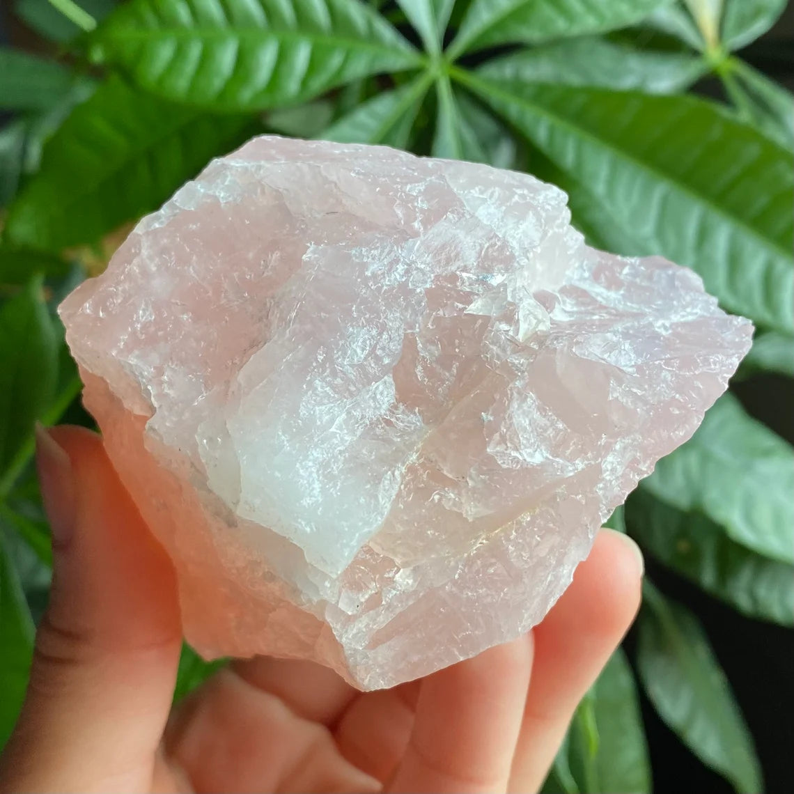 Rough Rose Quartz | 15 oz | 3.5”  | Rough Stone | Palm Size Stone | R5
