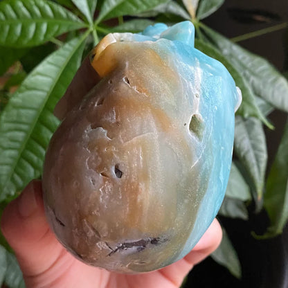 Caribbean Calcite Crystal Skull w/ druzy| 1 lb 11.6 oz | 4" | Crystal Carving