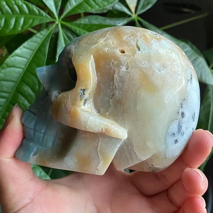 Caribbean Calcite Crystal Skull w/ druzy| 1 lb 11.6 oz | 4" | Crystal Carving