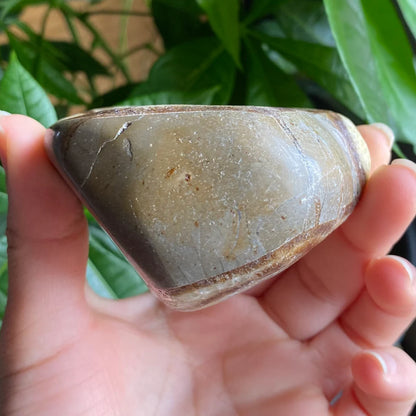 Septarian Freeform | 10.5 oz | 3.1" | Dragon Stone | Septarian Crystal | Palm Stone | SP1