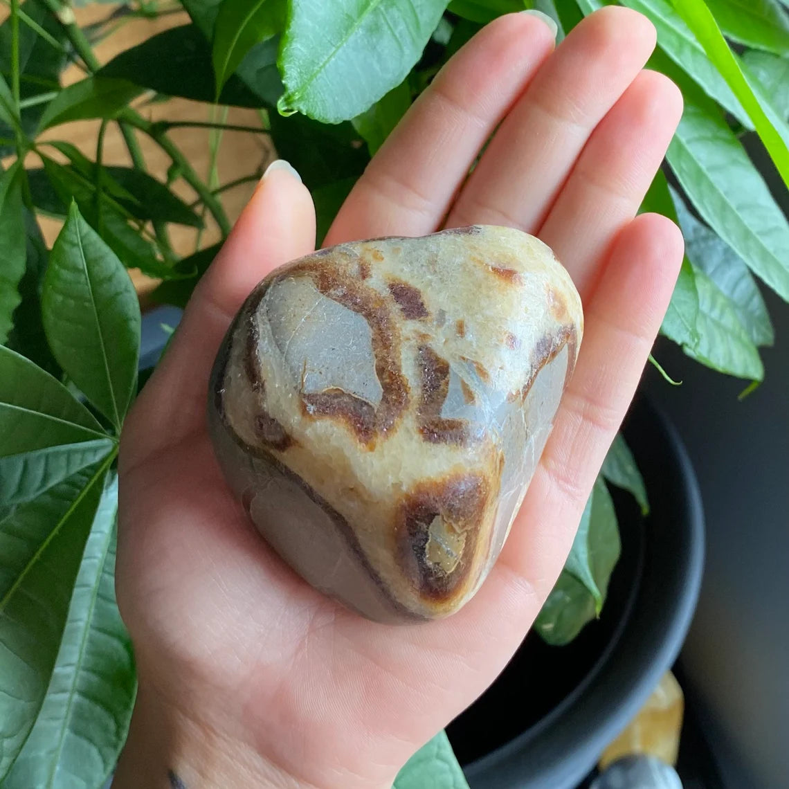 Septarian Freeform | 10.5 oz | 3.1" | Dragon Stone | Septarian Crystal | Palm Stone | SP1