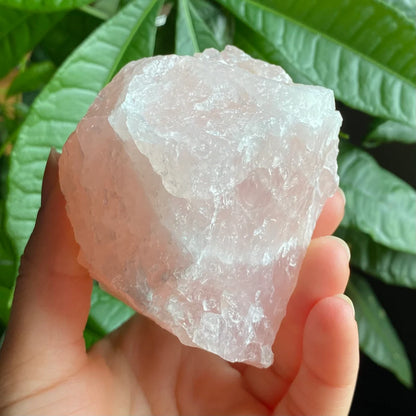 Rough Rose Quartz | 15 oz | 3.5”  | Rough Stone | Palm Size Stone | R5