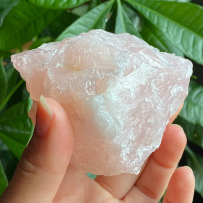 Rough Rose Quartz | 15 oz | 3.5”  | Rough Stone | Palm Size Stone | R5