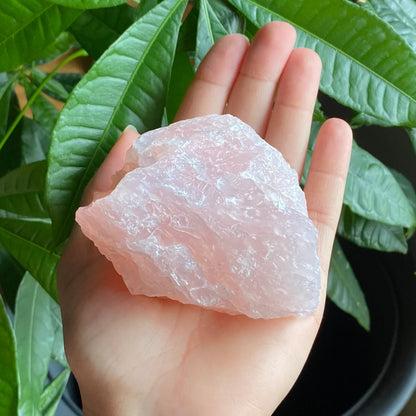 Rough Rose Quartz | 15 oz | 3.5”  | Rough Stone | Palm Size Stone | R5