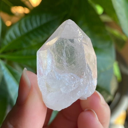 Natural Clear Quartz Point | 1 oz | 1.7”  | Clear Quartz | Top Polished Point | QP6