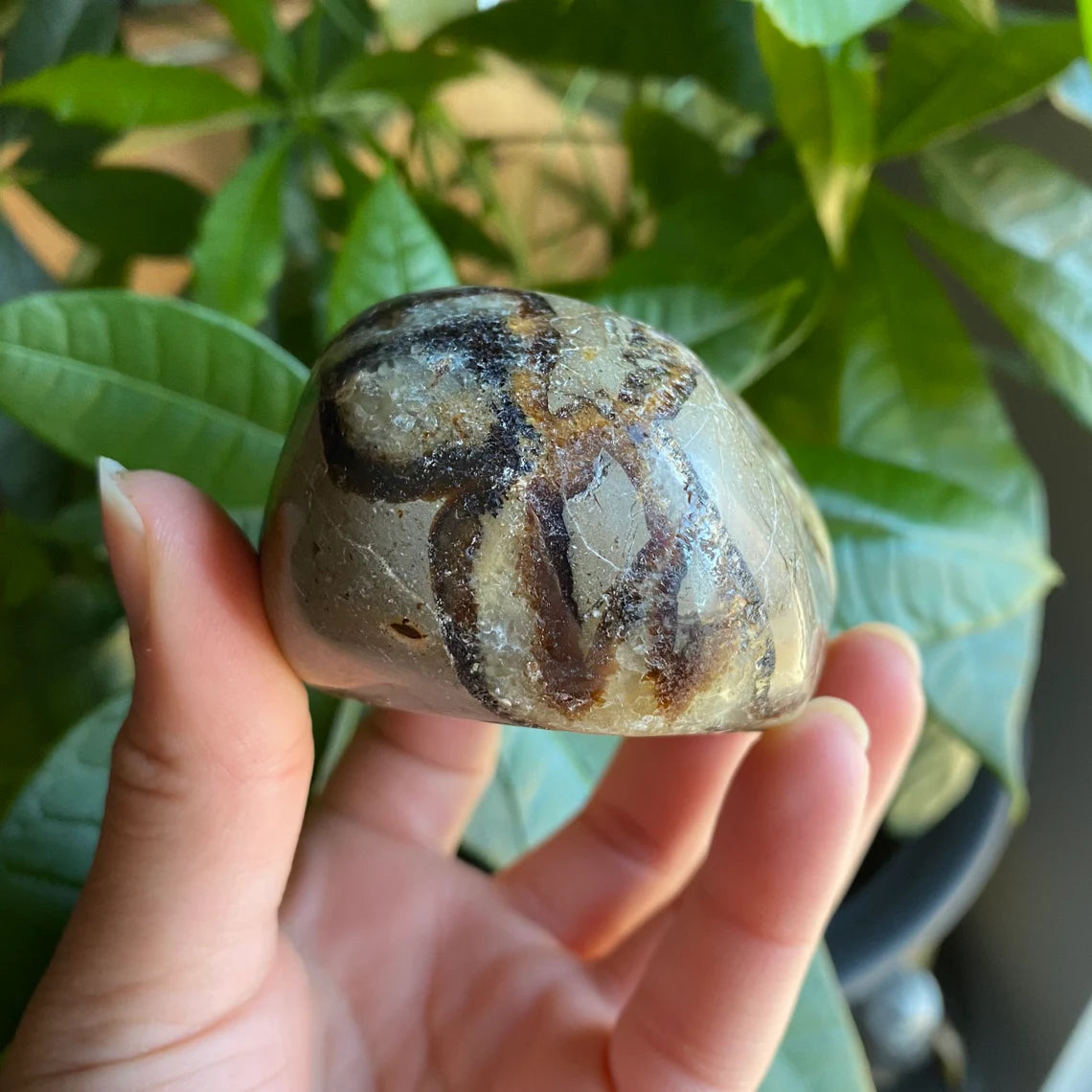 Septarian Freeform | 10.8 oz | 3" | Dragon Stone | Septarian Crystal | Palm Stone | SP5