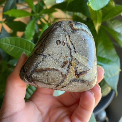 Septarian Freeform | 10.8 oz | 3" | Dragon Stone | Septarian Crystal | Palm Stone | SP5