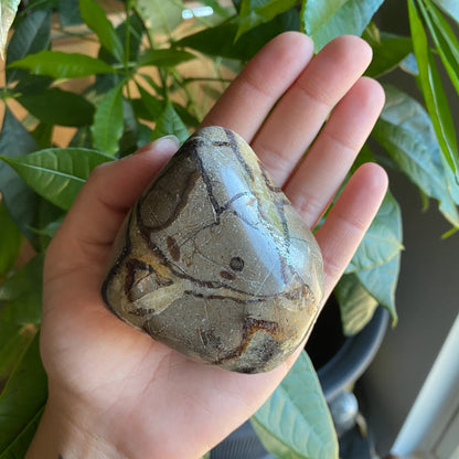 Septarian Freeform | 10.8 oz | 3" | Dragon Stone | Septarian Crystal | Palm Stone | SP5