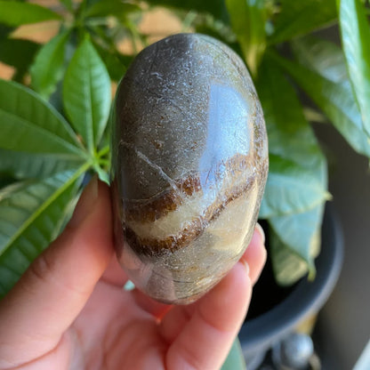 Septarian Freeform | 10 oz | 3" | Dragon Stone | Septarian Crystal | Palm Stone | SP7