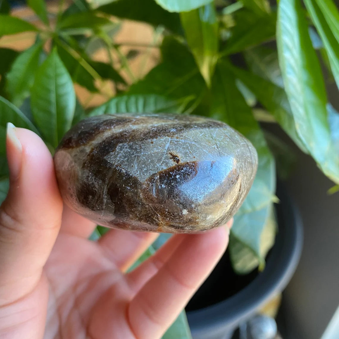 Septarian Freeform | 10 oz | 3" | Dragon Stone | Septarian Crystal | Palm Stone | SP7