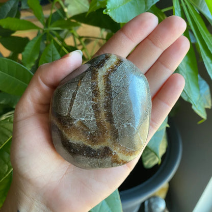 Septarian Freeform | 10 oz | 3" | Dragon Stone | Septarian Crystal | Palm Stone | SP7