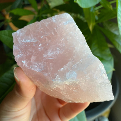 Rough Rose Quartz | 13.9 oz | 4”  | Rough Stone | Palm Size Stone | R6