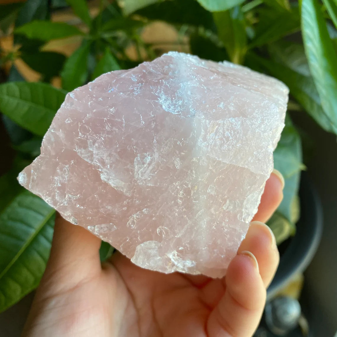 Rough Rose Quartz | 13.9 oz | 4”  | Rough Stone | Palm Size Stone | R6