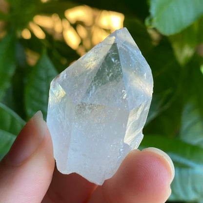 Natural Clear Quartz Point | 1 oz | 1.7”  | Clear Quartz | Top Polished Point | QP6