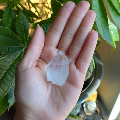 Natural Clear Quartz Point | 1 oz | 1.7”  | Clear Quartz | Top Polished Point | QP6