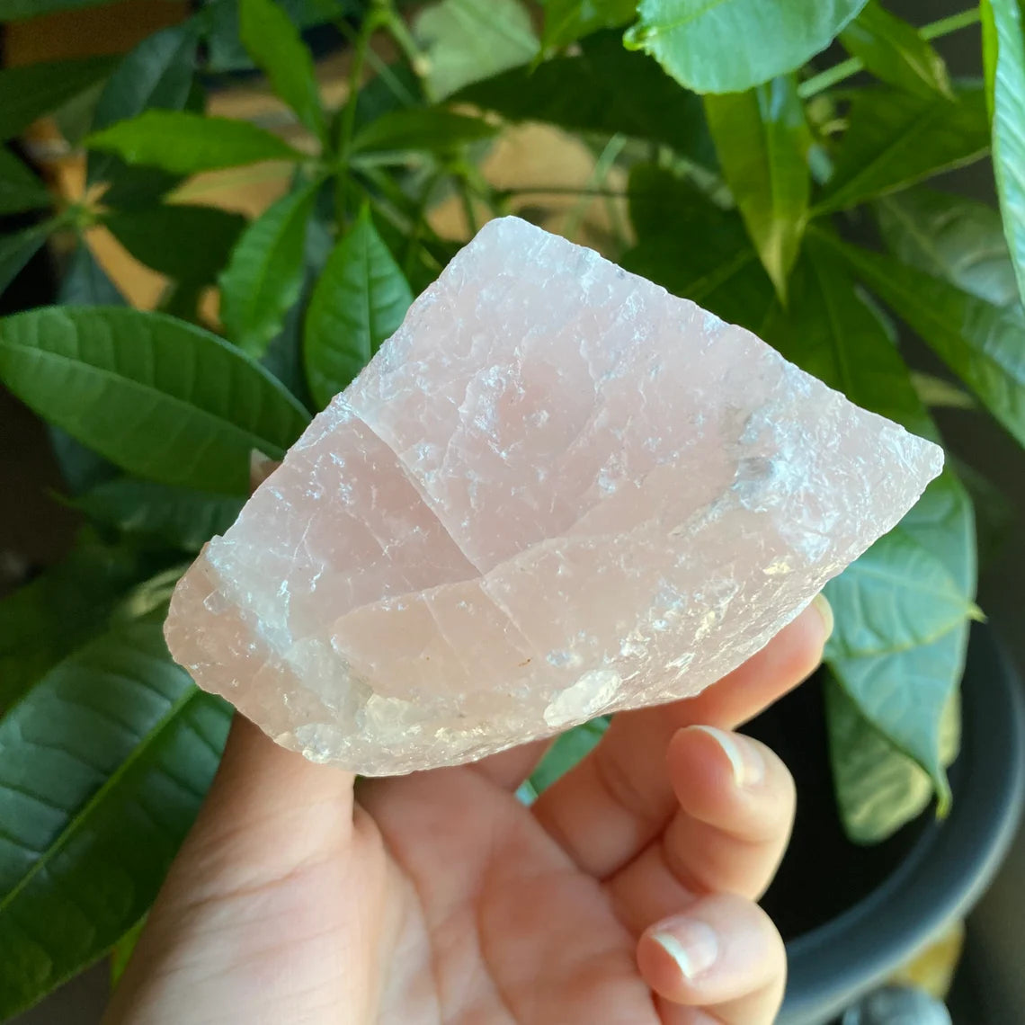 Rough Rose Quartz | 13.9 oz | 4”  | Rough Stone | Palm Size Stone | R6