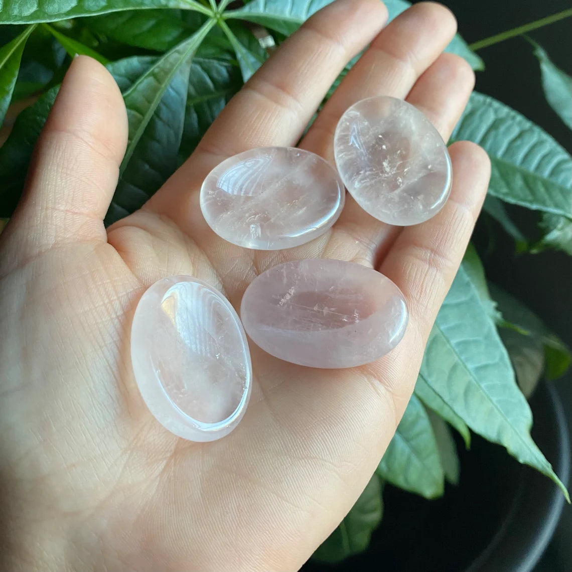 Rose Quartz Worry Stone | Crystal Worry Stone | Intuitively Selected (random)