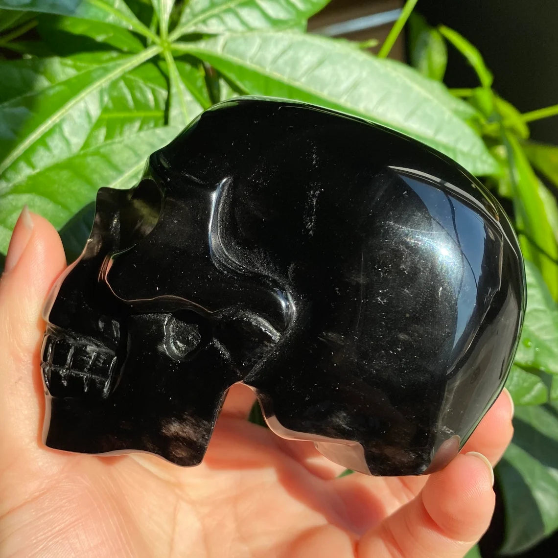 Smoky Quartz Skull | 1 lb 1.3 oz | 4" | Crystal Carving | Large Crystal Skull