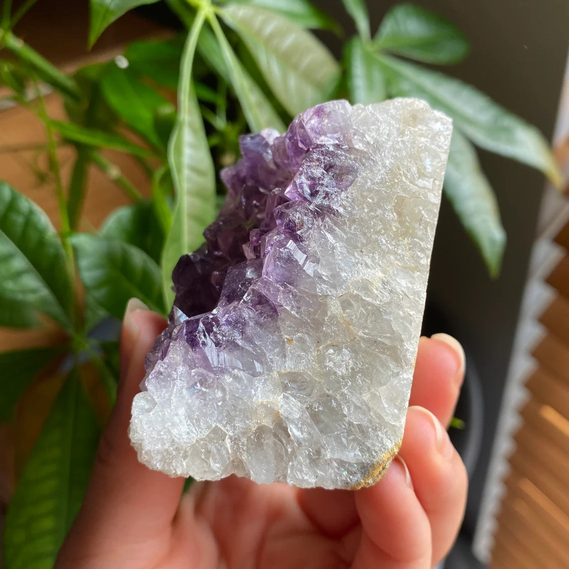 Raw Amethyst Geode | 9.9 oz | 2.7” | Rough Amethyst | Cathedral Amethyst | Crystal Cluster | Cut Base | Uruguay | Free Standing | AG3