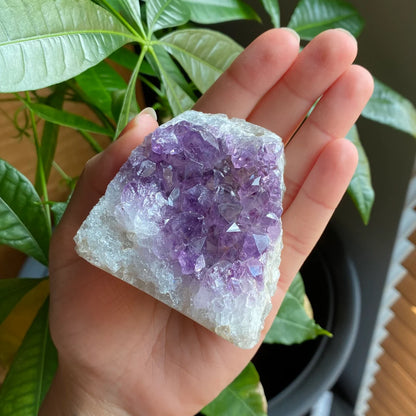 Raw Amethyst Geode | 9.9 oz | 2.7” | Rough Amethyst | Cathedral Amethyst | Crystal Cluster | Cut Base | Uruguay | Free Standing | AG3