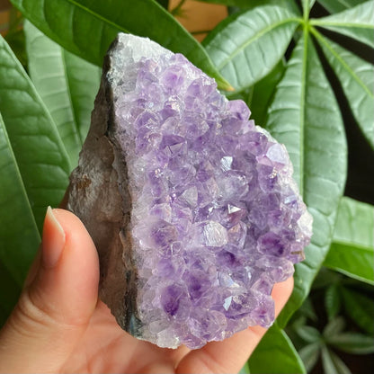 Raw Amethyst Geode | 11.1 oz | 3.2” | Rough Amethyst | Cathedral Amethyst | Crystal Cluster | Cut Base | Uruguay | Free Standing | AG1