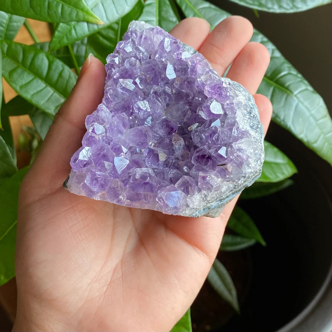 Raw Amethyst Geode | 11.1 oz | 3.2” | Rough Amethyst | Cathedral Amethyst | Crystal Cluster | Cut Base | Uruguay | Free Standing | AG1