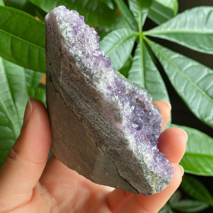 Raw Amethyst Geode | 10.6 oz | 3.1” | Rough Amethyst | Cathedral Amethyst | Crystal Cluster | Cut Base | Uruguay | Free Standing | AG2