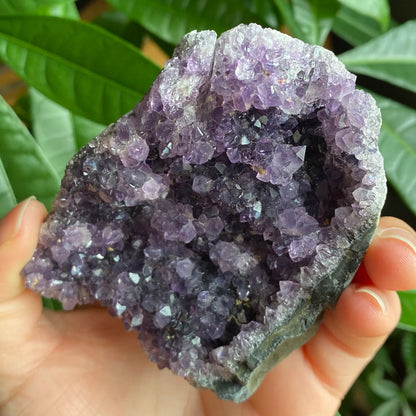 Raw Amethyst Geode | 10.6 oz | 3.1” | Rough Amethyst | Cathedral Amethyst | Crystal Cluster | Cut Base | Uruguay | Free Standing | AG2