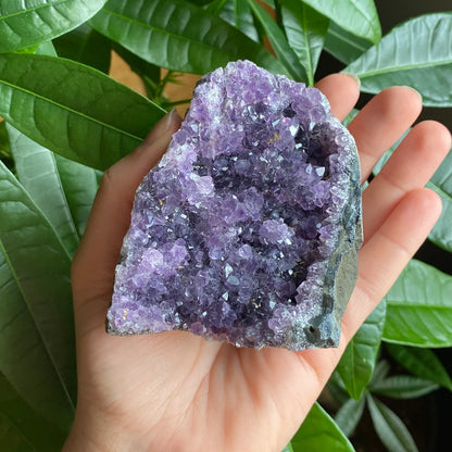Raw Amethyst Geode | 10.6 oz | 3.1” | Rough Amethyst | Cathedral Amethyst | Crystal Cluster | Cut Base | Uruguay | Free Standing | AG2