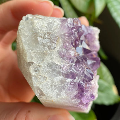 Raw Amethyst Geode | 9.9 oz | 2.7” | Rough Amethyst | Cathedral Amethyst | Crystal Cluster | Cut Base | Uruguay | Free Standing | AG3