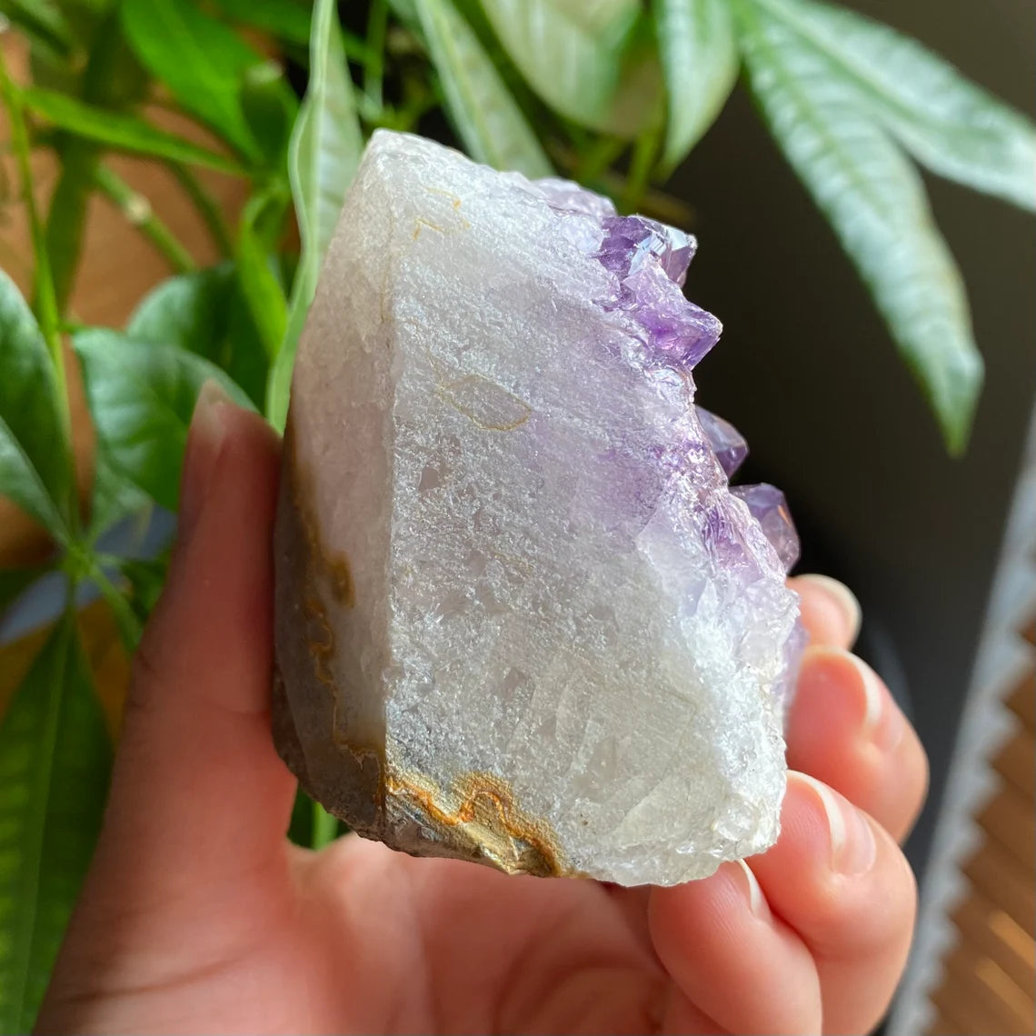 Raw Amethyst Geode | 9.9 oz | 2.7” | Rough Amethyst | Cathedral Amethyst | Crystal Cluster | Cut Base | Uruguay | Free Standing | AG3