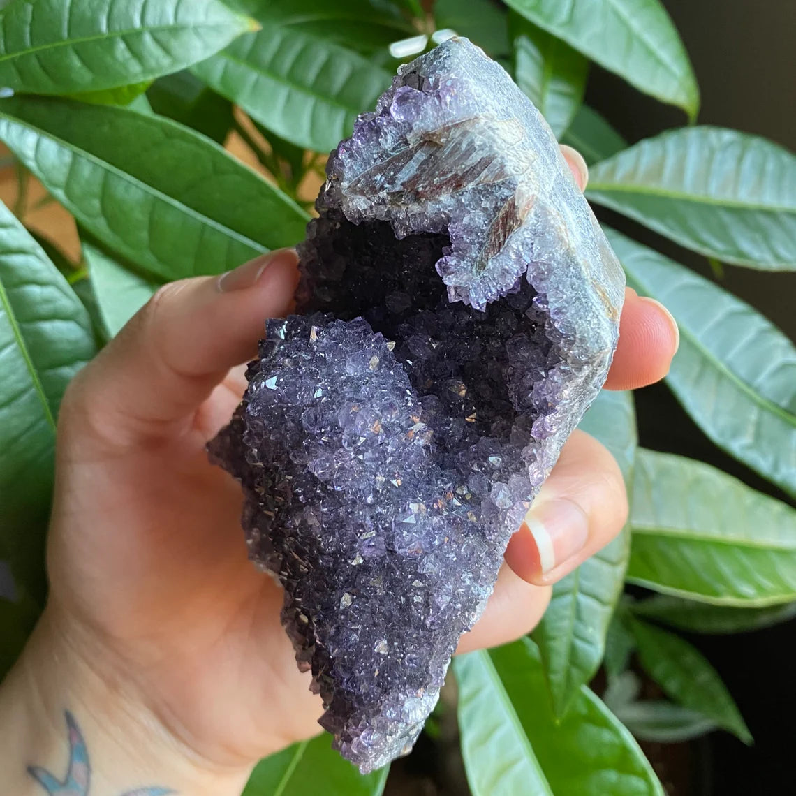 Raw Amethyst Geode | 11.5 oz | 3.6” | Rough Amethyst | Cathedral Amethyst | Crystal Cluster | Cut Base | Uruguay | Free Standing | AG4