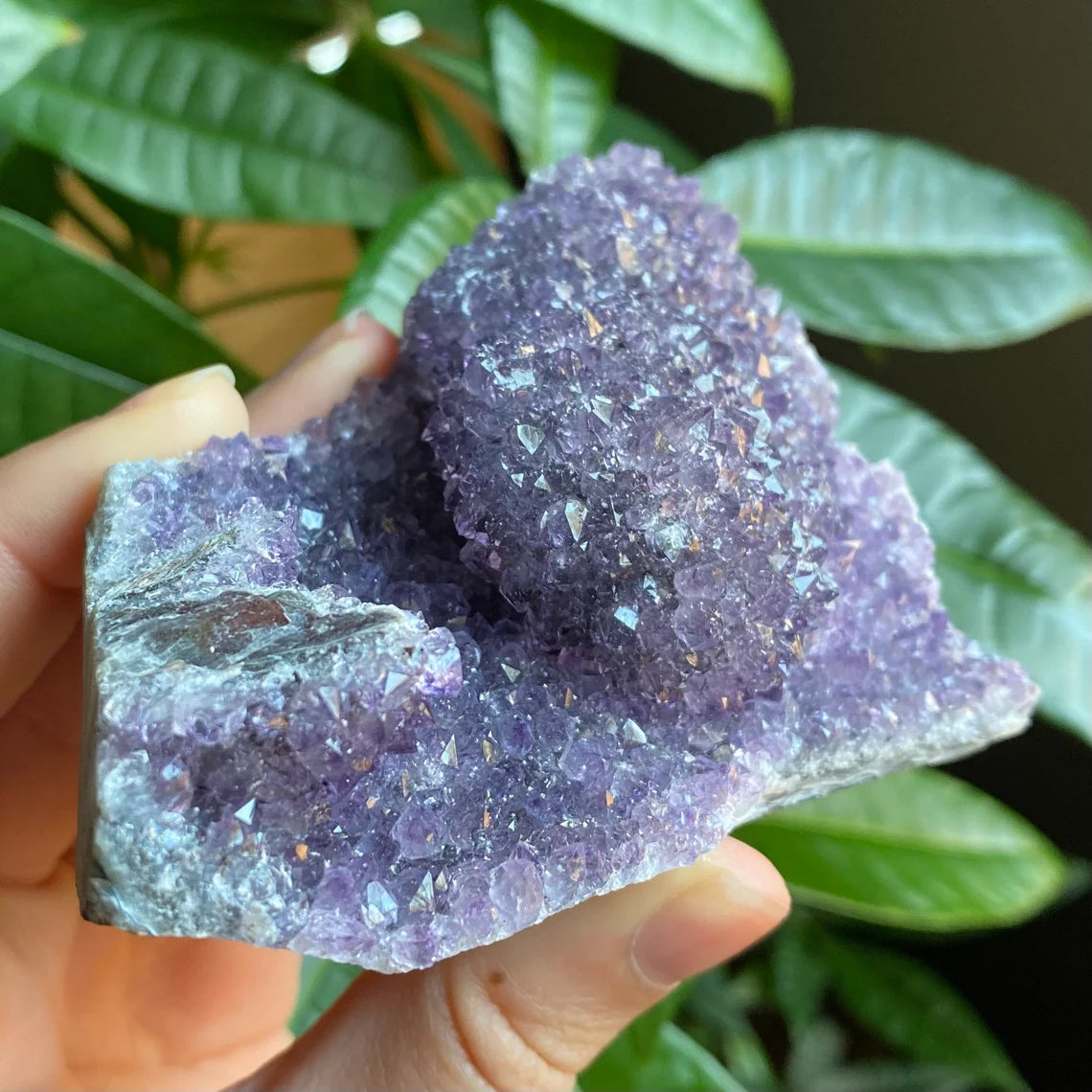 Raw Amethyst Geode | 11.5 oz | 3.6” | Rough Amethyst | Cathedral Amethyst | Crystal Cluster | Cut Base | Uruguay | Free Standing | AG4