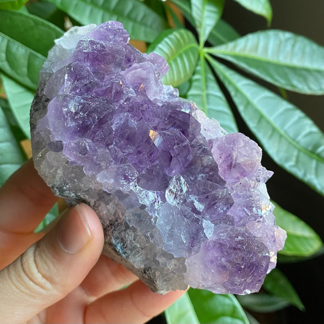 Raw Amethyst Geode | 13.3 oz | 3.3” | Rough Amethyst | Cathedral Amethyst | Crystal Cluster | Cut Base | Uruguay | Free Standing | AG5