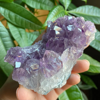 Raw Amethyst Geode | 13.3 oz | 3.3” | Rough Amethyst | Cathedral Amethyst | Crystal Cluster | Cut Base | Uruguay | Free Standing | AG5