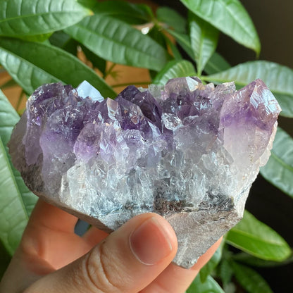 Raw Amethyst Geode | 13.3 oz | 3.3” | Rough Amethyst | Cathedral Amethyst | Crystal Cluster | Cut Base | Uruguay | Free Standing | AG5